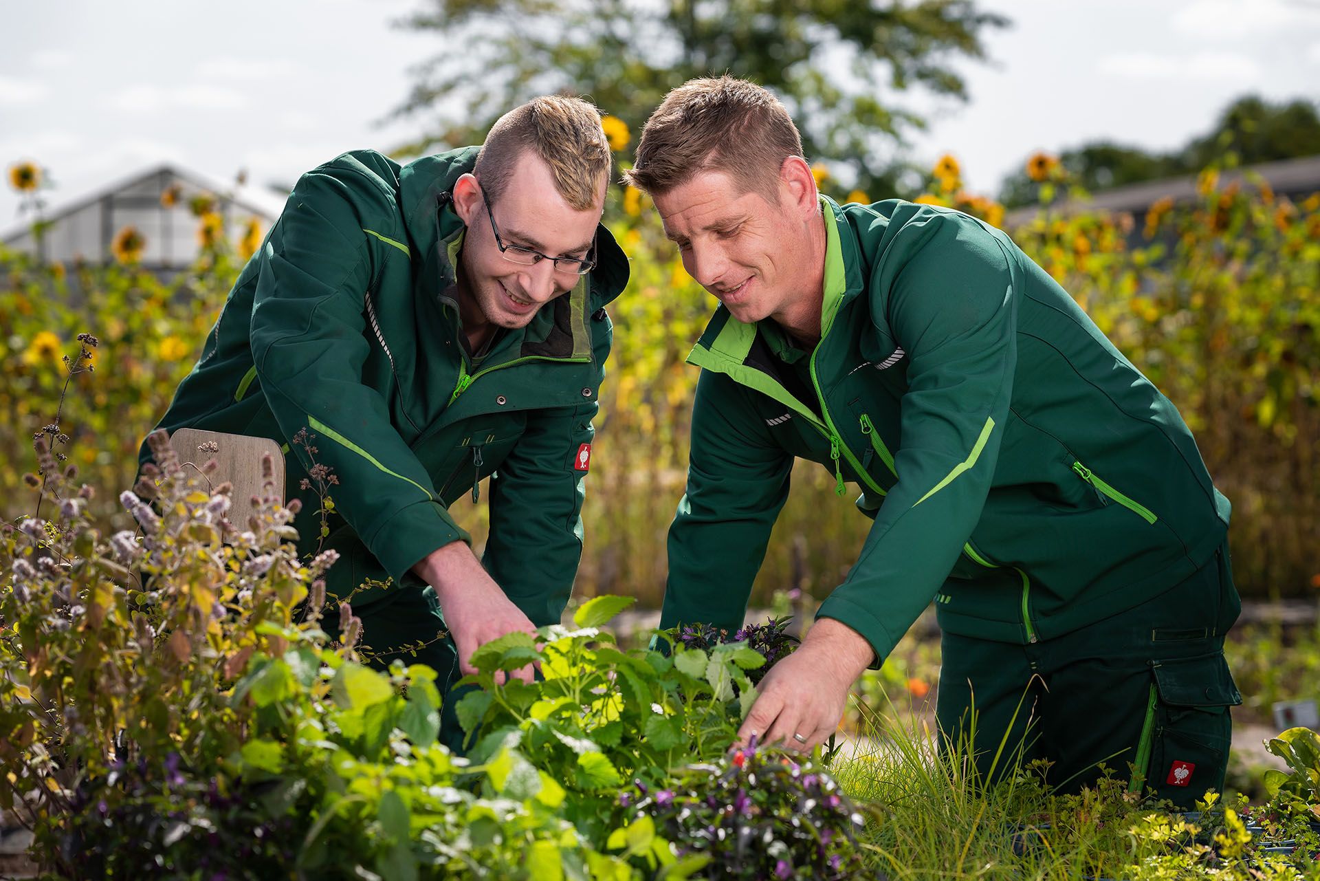 Lag If Hessen Landesarbeitsgemeinschaft Inklusionsfirmen